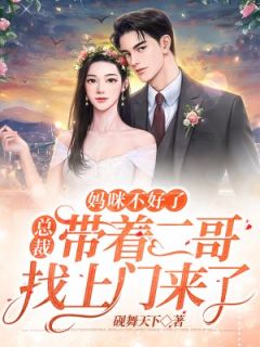 妈咪不好了,总裁带着二哥找上门来了主角宋秋词戎行之小说精彩章节全文免费试读