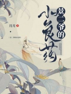 《景二爷的小良药》小说大结局在线阅读 江问烟景无渊小说阅读