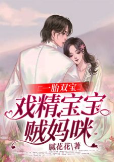 一胎双宝:戏精宝宝贼妈咪