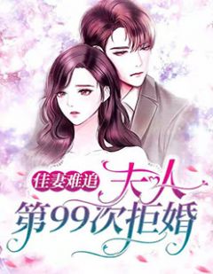 佳妻难追:夫人第99次拒婚