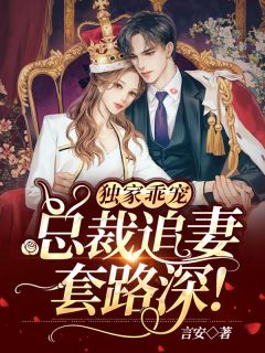 《独家乖宠:总裁追妻套路深!》苏童北燕锦章节在线阅读