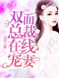 《双面总裁在线宠妻》小说全集免费在线阅读(叶南卿霍成楠)