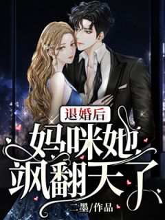 《退婚后妈咪她飒翻天了》小说精彩阅读 《退婚后妈咪她飒翻天了》最新章节列表