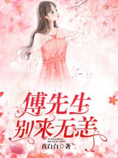 《傅先生别来无恙》苏年傅煜琛完结版在线阅读