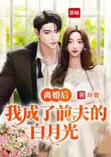 离婚后我成了前夫的白月光by玲歌 宋暖暖郑廷禹小说全文阅读