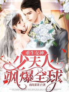 重生女神:少夫人飒爆全球