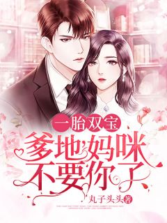 一胎双宝:爹地,妈咪不要你了