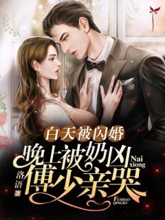 白天被闪婚,晚上被奶凶傅少亲哭全文免费阅读 苏安染傅司寒小说最新章节完整版