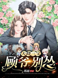 《天降三宝:顾爷,别怂》叶彤顾亦琛小说精彩内容免费试读