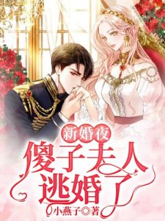 新婚夜，傻子夫人逃婚了苏莹沈知白by小燕子完整在线阅读