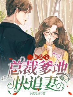 一胎双宝:总裁爹地快追妻