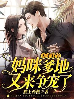 《天才双宝:妈咪,爹地又来争宠了》小说章节目录在线阅读 桑暖霍祈安小说阅读