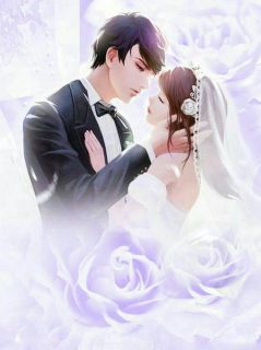 秦舒褚临沉章节目录 专属甜妻请签收全文阅读