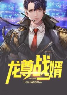 龙尊战婿周凌苏慕雨小说免费试读全文章节目录精彩章节