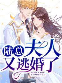 陆总,夫人又逃婚了