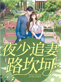夜少追妻路坎坷精彩章节全文全集精彩试读 夜少追妻路坎坷小说免费阅读