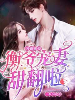 闪婚蜜爱:衡爷宠妻甜翻啦!