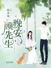 顾先生，晚安！唐迟顾临峥免费阅读 顾先生，晚安！孤木双