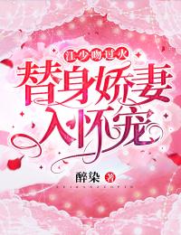 江少前妻不做替身by醉染 夏栀江怀城章节目录