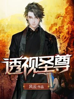 透视圣尊透视圣尊王天何梅by风云完整在线阅读