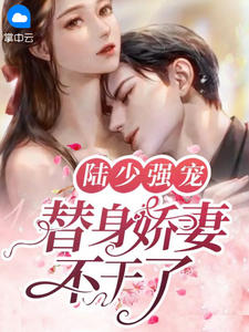 陆少强宠:替身娇妻不干了