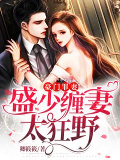 豪门罪妻:盛少缠妻太狂野