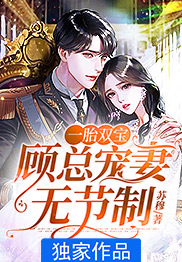 一胎双宝：顾总宠妻无节制