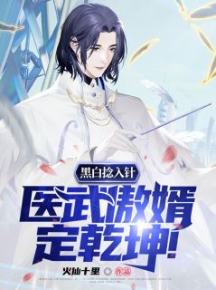 黑白捻入针:医武傲婿定乾坤!