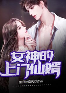 《女神的上门仙婿》小说完结版精彩试读 叶凡林若雪小说阅读