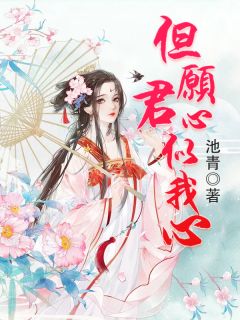 《但愿君心似我心》小说章节目录免费试读 江夜阑司渐深小说阅读