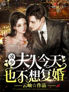 凌少,夫人今天也不想复婚