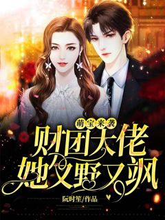 萌宝来袭：财团大佬她又野又飒精彩章节 陆绾绾厉司霆全章节阅读