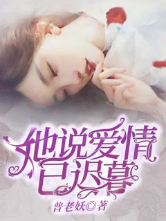 《她说爱情已迟暮》夏衍厉沐琛完结版精彩试读