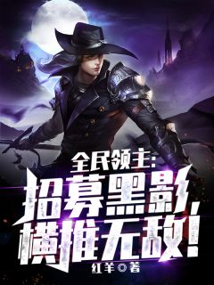 全民领主:招募黑影,横推无敌!
