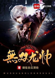 无双龙帅苏尘萧雅小说 无双龙帅小说章节