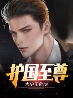 杨风白冰冰小说 《护国至尊》小说全文免费阅读