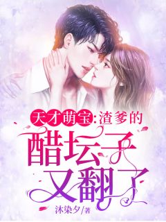 天才萌宝:渣爹的醋坛子又翻了