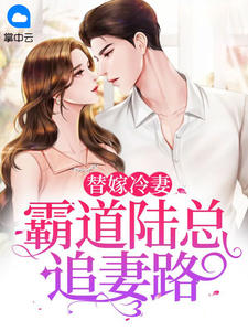 替嫁冷妻:霸道陆总追妻路