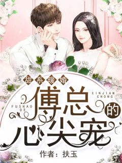 许安宁傅司年by扶玉 甜系暖婚：傅总的心尖宠小说全文阅读