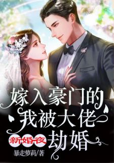 新婚夜,嫁入豪门的我被大佬劫婚