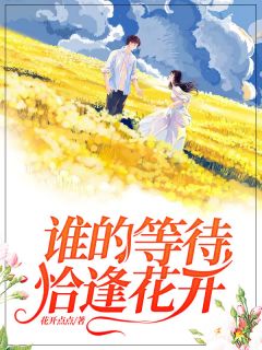 《谁的等待,恰逢花开》(路清晚傅允庭)小说阅读by花开点点