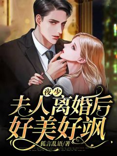 《夜少，夫人离婚后好美好飒》大结局在线阅读 《夜少，夫人离婚后好美好飒》最新章节目录