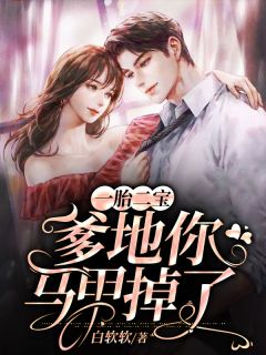 一胎二宝:爹地你马甲掉了