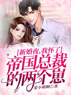 新婚夜,我怀了帝国总裁的两个崽全文免费阅读 江怡墨沈谨尘大结局无弹窗