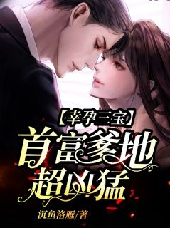 幸孕三宝:首富爹地超凶猛