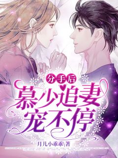 分手后,慕少追妻宠不停
