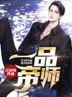 《一品帝师》小说章节列表精彩试读 叶锋沈颜小说全文