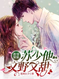 迷情深陷:苏少他又野又甜