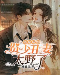 错嫁成婚完整全文全集精彩试读 错嫁成婚小说免费阅读