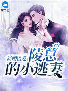 新婚错爱:陵总的小逃妻